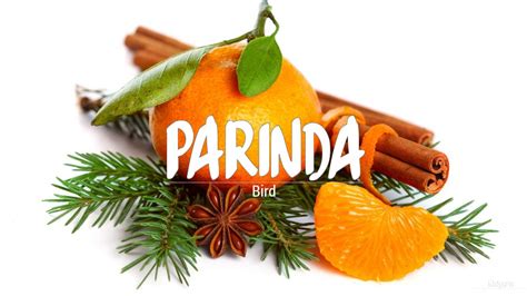 parinda meaning in english|parinda meaning urdu.